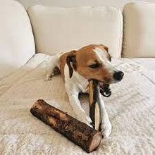 100% natural chew bones made from olive wood